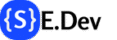Professional Web Developer